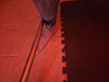 Bondage Teaser Pic